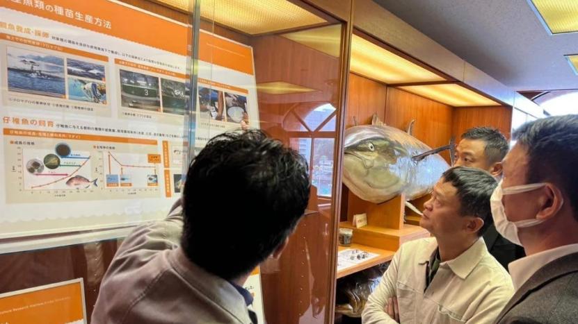 CES|阿里巴巴创始人马云继退休后在全球范围内深入对渔业和农业的研究