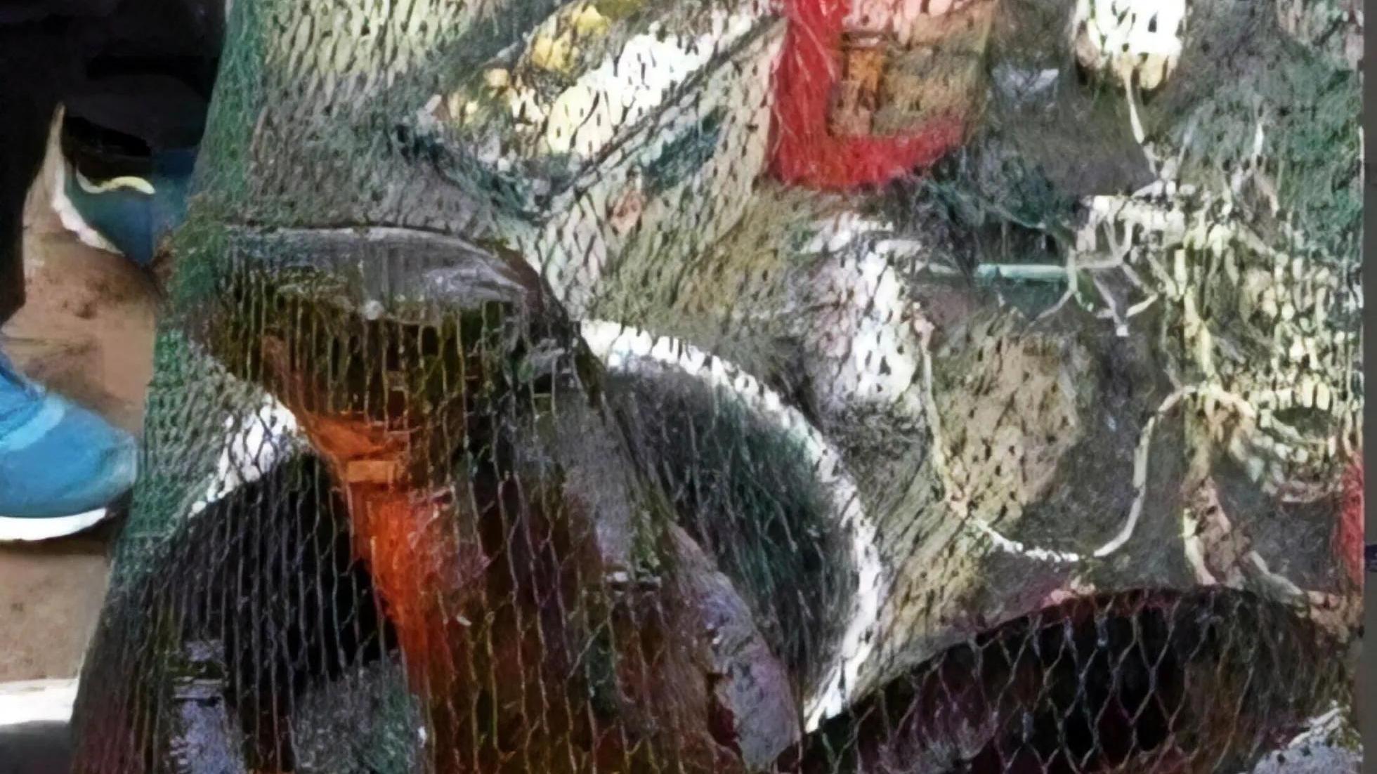 2013年他在水库抓到一条35斤黄鳝，出价1万2都不肯卖