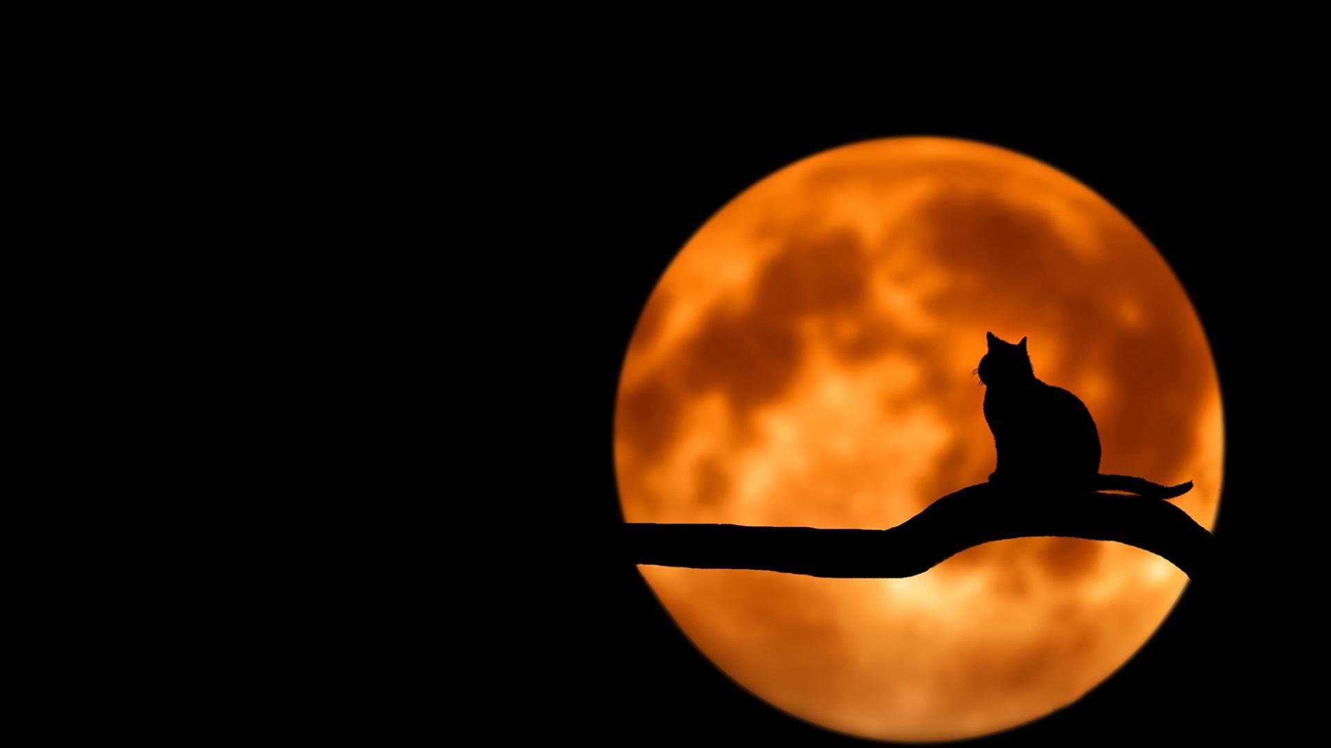 |职场上这3类人结交不得，尤其是第2类，无异于引火自焚！