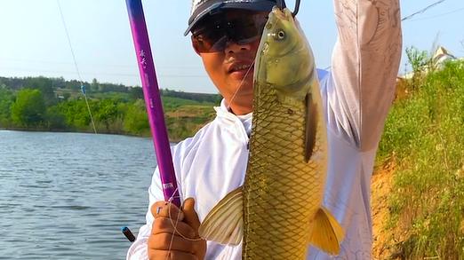 |馒头能钓鱼么？大师的操作让我叹为观止，竟然把水库草鱼抠光了