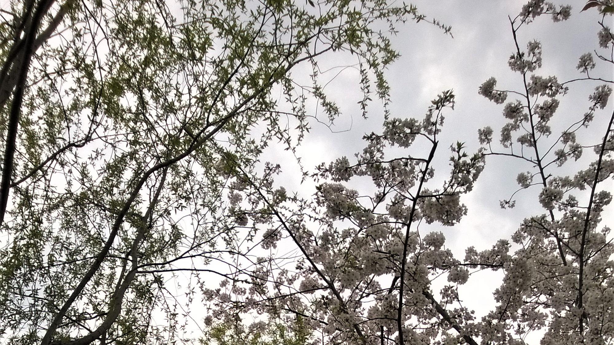 |职场奔奔：面对莫名其妙的指责时