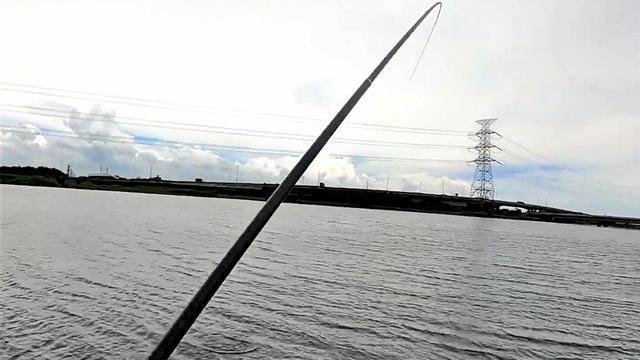 岁暮海上作|用抛竿怎样钓草鱼？野钓鲤鱼如何调漂？