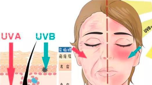 人的皮肤到底有多诡异？人体最诡异器官，至今仍无法解释原理