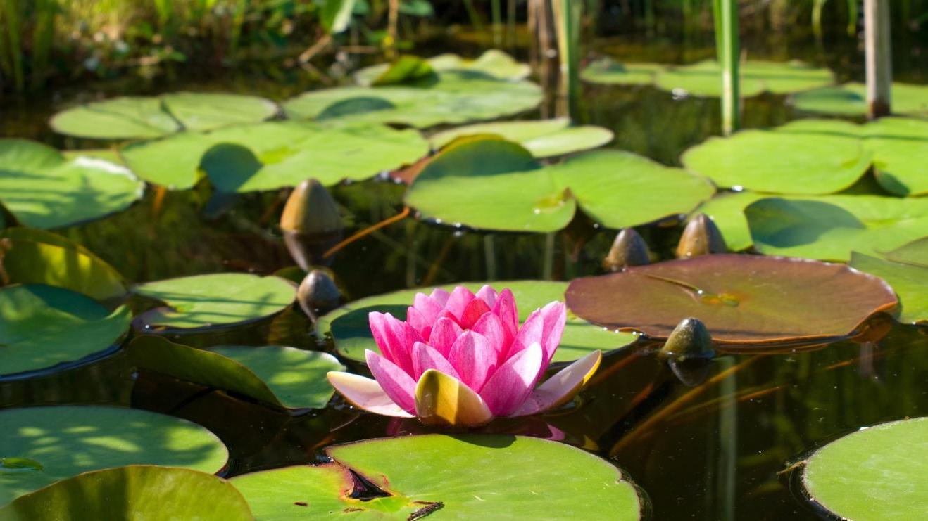 |如何在职场上快速赚钱？