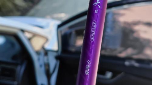 林青霞|新手钓鱼注意几点，事倍功半，从此不再被割韭菜