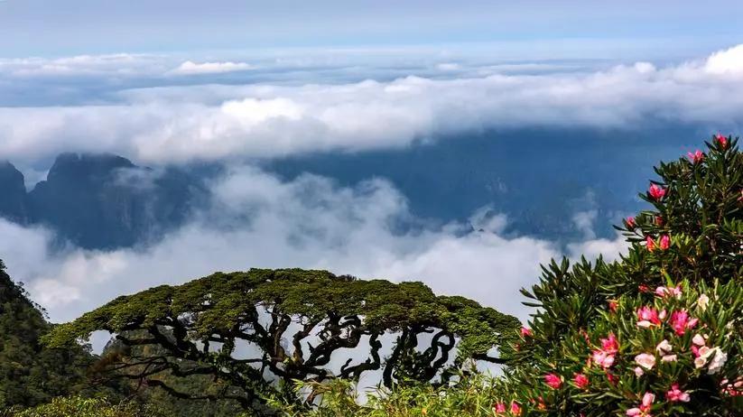 凯悦|广西来宾市的旅游景点，推荐这11个，去品壮乡风情，秀美山水