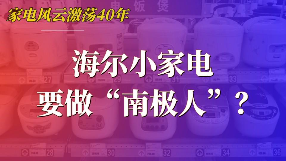 苹果|代工厂多如牛毛，海尔小家电要做下一个“南极人”？