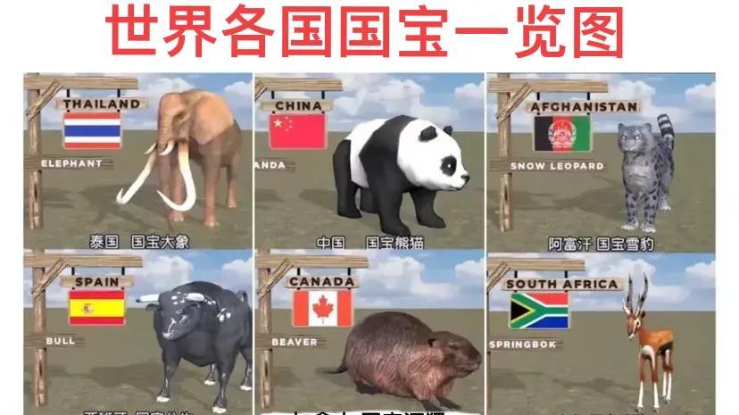 世界各国“国宝”都是些什么动物？