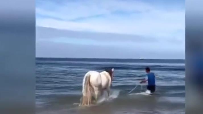 海口|海南潮：骑白马的并非都是王子，我们又该如何做一个好网民？