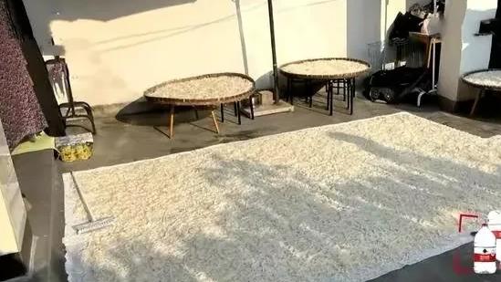 浙江杭州，三名男子偷挖农民300斤萝卜，被找到时已成萝卜丝！