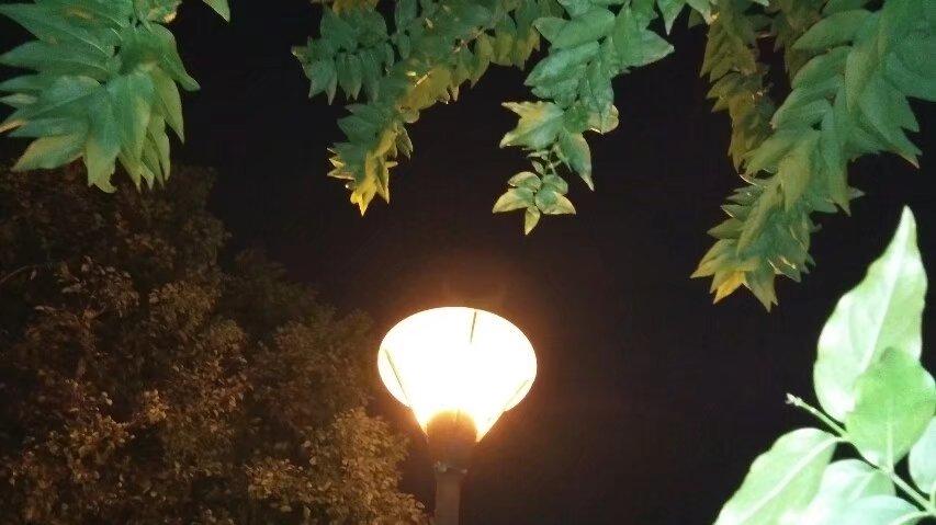 21岁伴游女，因为晚上不能让客户满足，被客户暴打