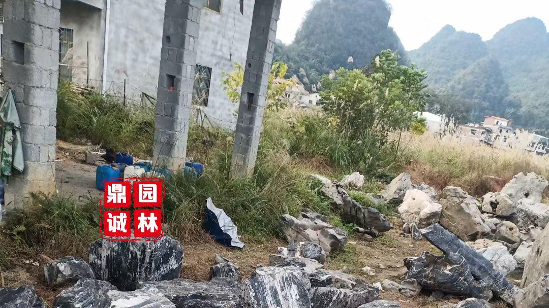 园林|云雾石造就不一样视觉观赏假山造景美化风景石