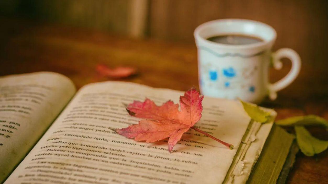 图书馆|想进图书馆工作？专业学历限制？在哪看招聘？这三种渠道都可！