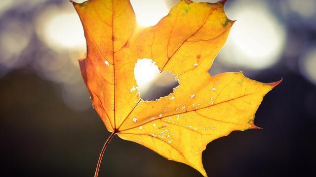 招聘|你不必有多完美，只需要更有勇气