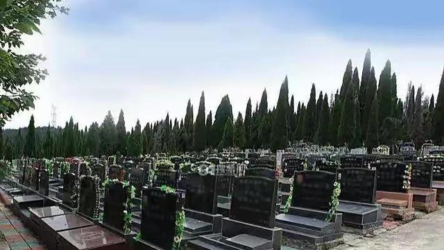 商品房|公墓使用权只有20年，如果后代不续费，会如何处理？