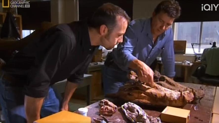 组建团队研究！亲自前往澳洲实地探访！保罗为揭开史前鳄鱼生存之谜竭尽全力！