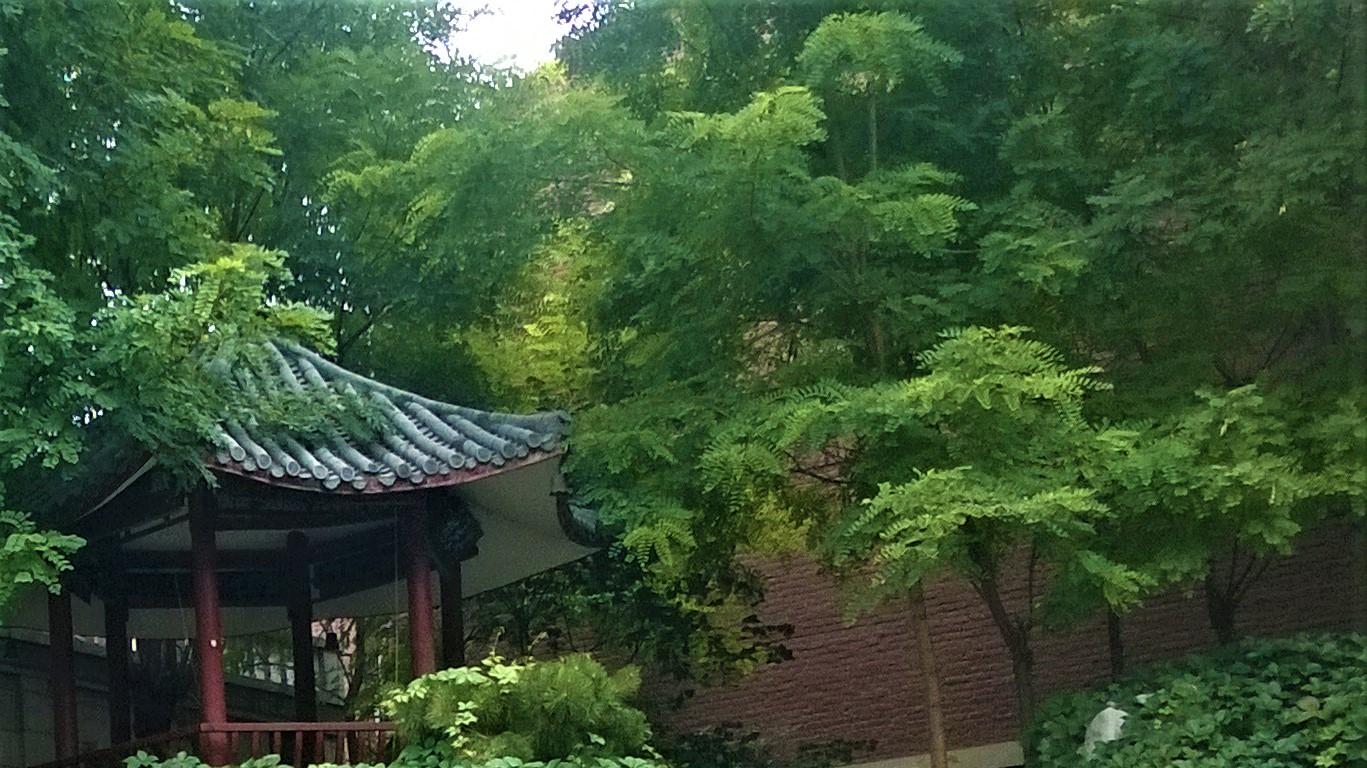 姚劲波|职场的朋友，自己的镜像