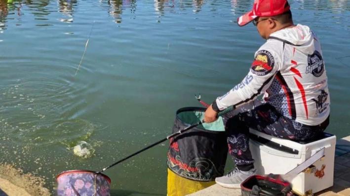 |空军别怪饵料不好，是你把饵料用错了，教你好用实惠的开饵方法