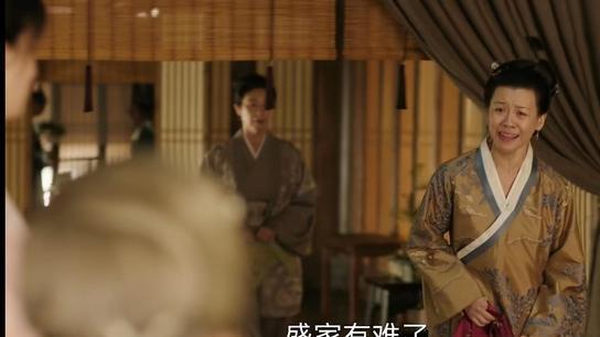 知否知否应是绿肥红瘦|《知否》林噙霜变卖家产，本来大娘子稳赢了，为什么又输了？