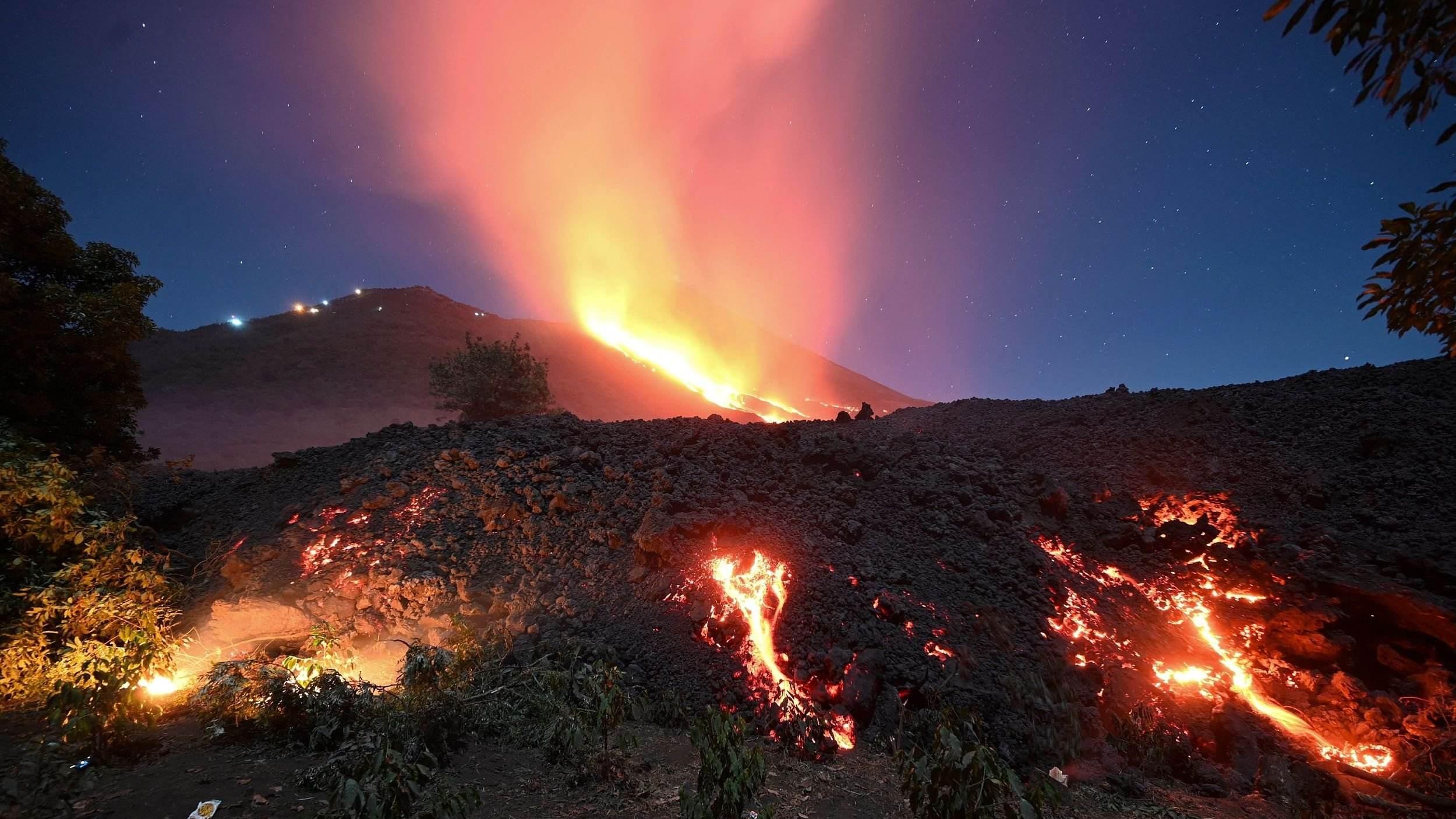 棒球|非洲草原上数以万计的马牛羊，随便抓一头来烤着吃味道怎么样？