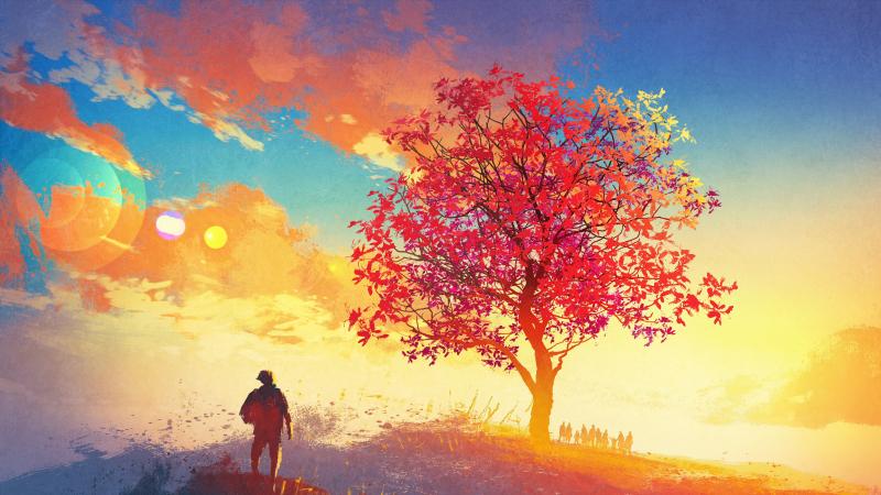 业主因擅自将卧室、厨房或茶水间改成卫生间被判承担法律责任