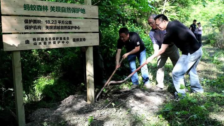 马云|马云承诺每年在沙漠种1亿棵树，六年过去了，如今怎么样了？