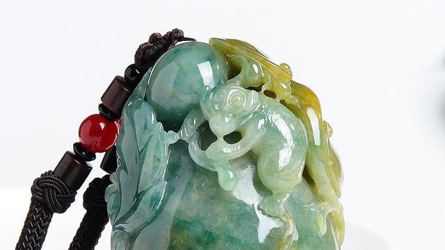 鹦鹉|鹦鹉殊姿致，鸾皇得比肩，翡翠鹦鹉的寓意你知道哪些呢？