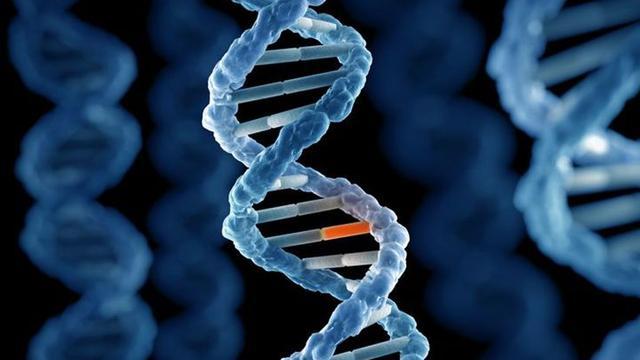 太空会让DNA突变吗？NASA的双胞胎宇航员实验揭秘