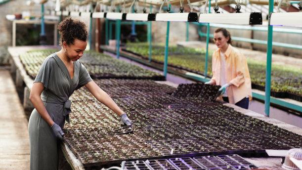 |职场新人：领导要什么，但是拿不出