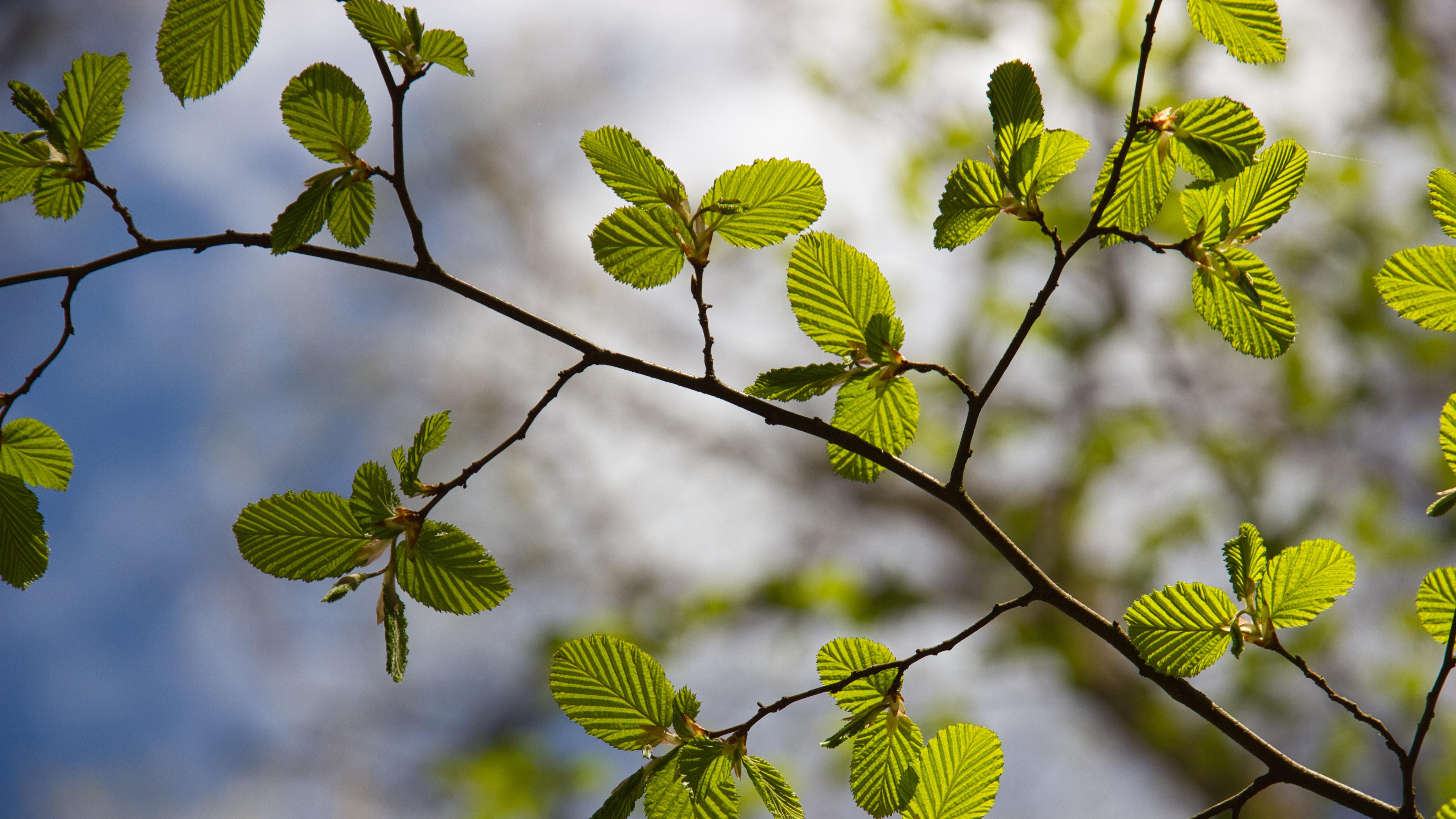新希望|被领导打压？用这3招，化被动为主动！