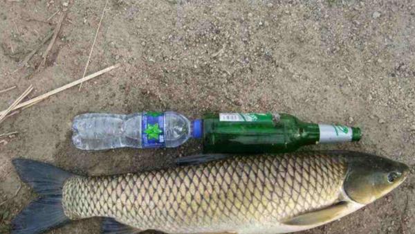 |伏天将至，人热鱼更“热”，牢记4钓4不钓，天气再热都不怕！