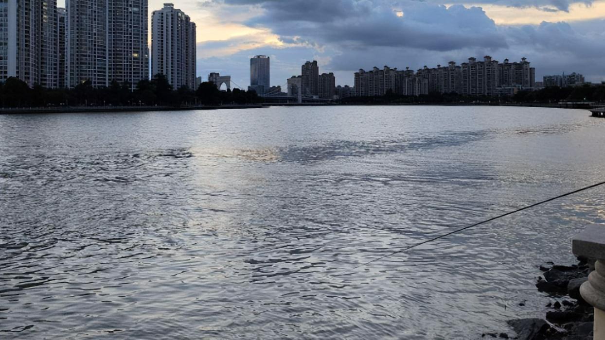|退水时不好钓鱼？这些实用建议你肯定用得上