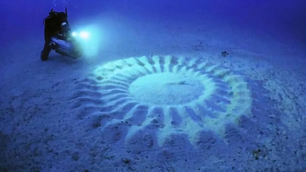 潜水员在海底发现怪圈，像飞碟留下的压痕，其形成的过程让人意外