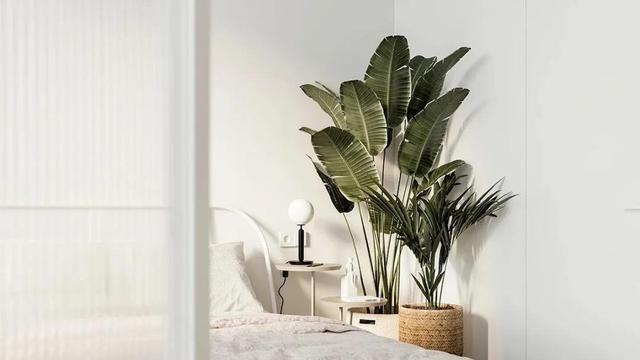 你家再小，能小过这间30㎡的公寓吗？只有一道隔断，也能成为亮点