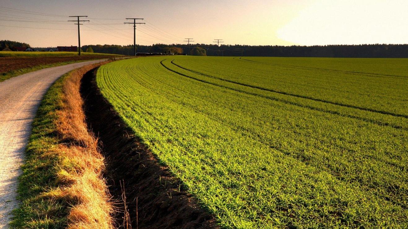 大学生|同事总是给你意见，这个意见可能会毁了好些人的职场前程