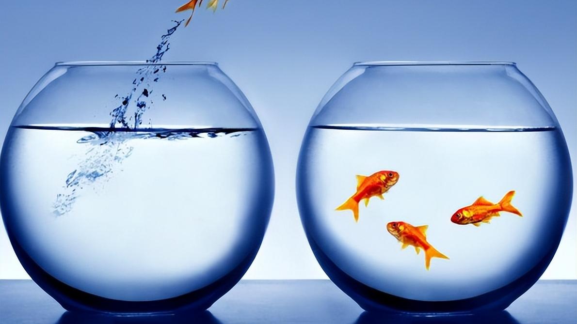 |如果有你辞职的想法，这三个准备工作不可缺少，你准备好了吗？