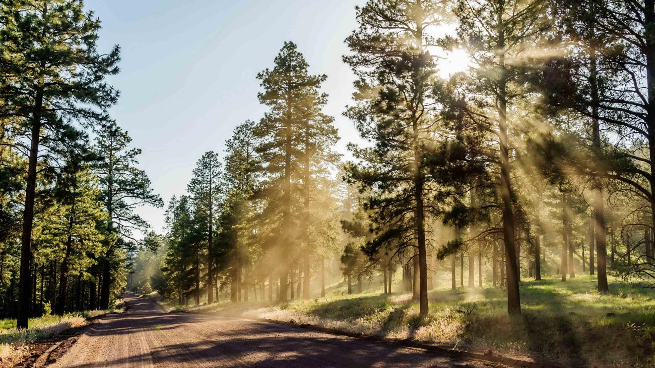 |遇到最为关键的“时机”到底是什么？