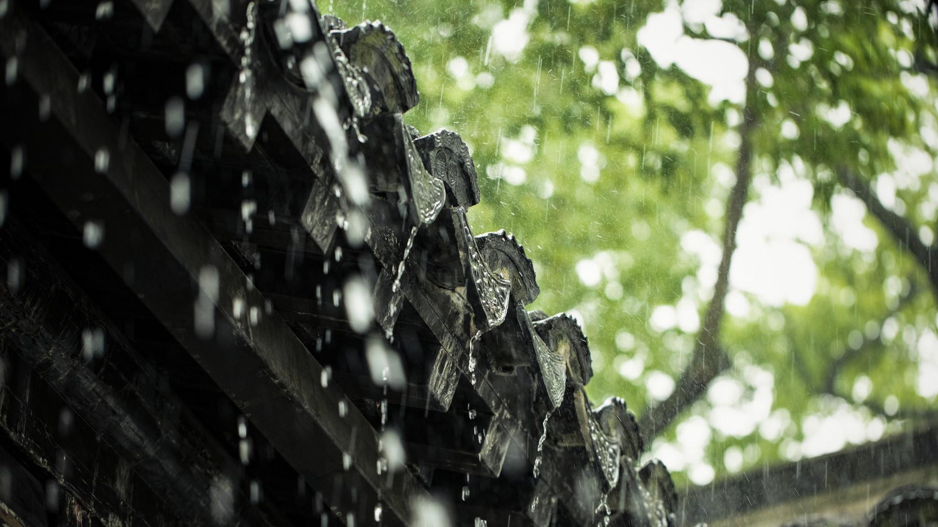 天空为什么会下雨？雨的形成过程是什么？看完涨知识了