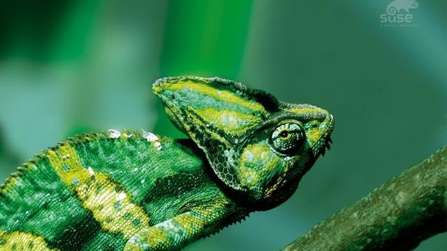 |你对自己的定位是什么？你是否只关注别人，完全忽略了自己？