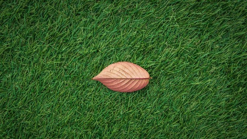 铁岭|这三个星座生，个性好，受人喜欢，但并不擅长交际