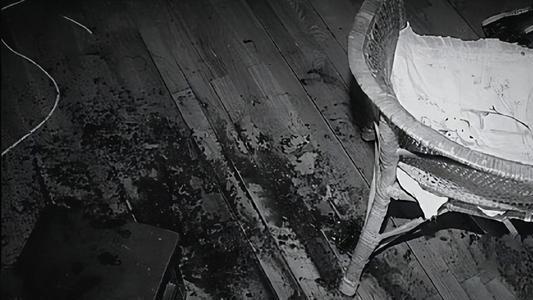 2009年苏州一对夫妇惨死，凶手是亲生女儿，判死刑后只说了8个字