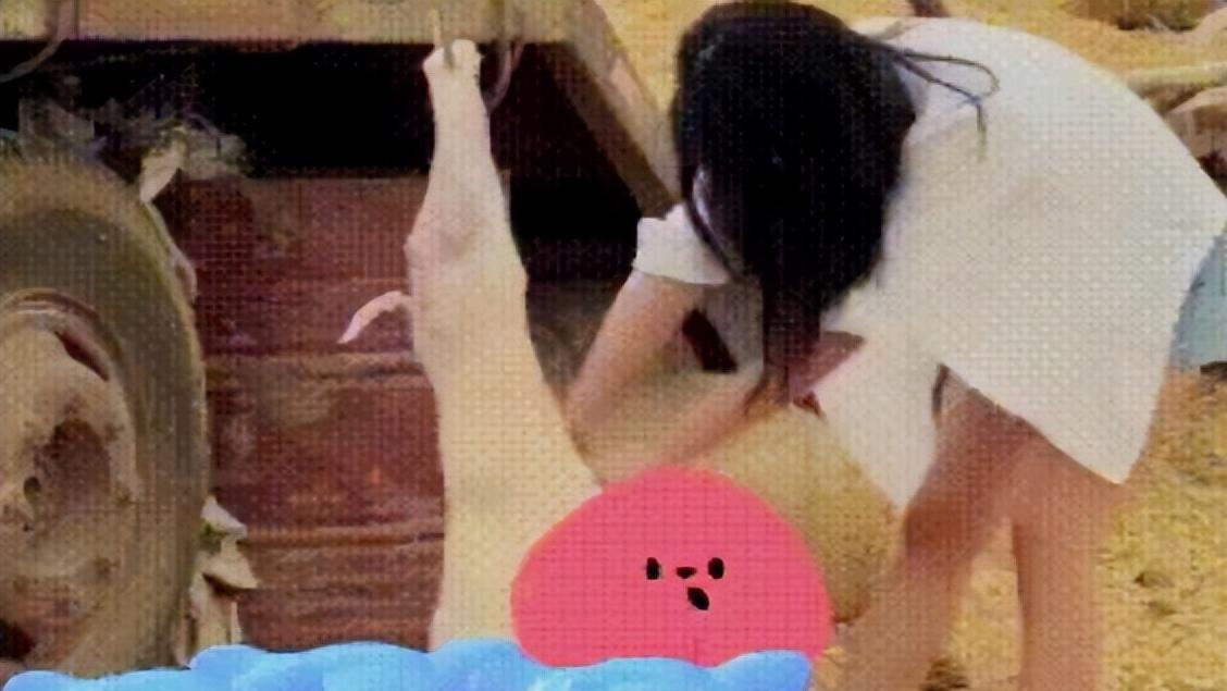 从无助放羊女到拥有600万粉丝的女网红，她到底经历了什么？