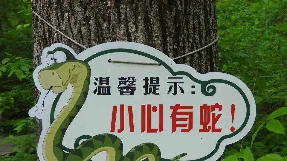 有时候真的是不得不佩服人类的胆量