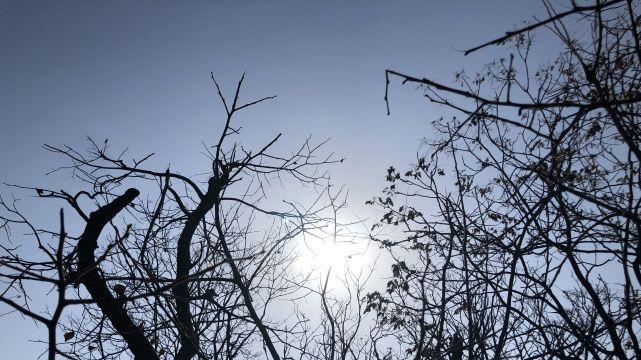 “顺不顺，就看十月晦日”，明日就是十月晦日，四星聚会不简单