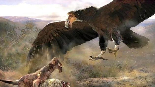 按照会飞动物的翅膀与身体比例，人类需要多大的翅膀才能飞起来？