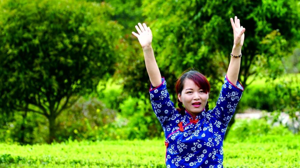 云台山|国庆去哪玩？来安化云台山风景区体验秋季采茶的乐趣