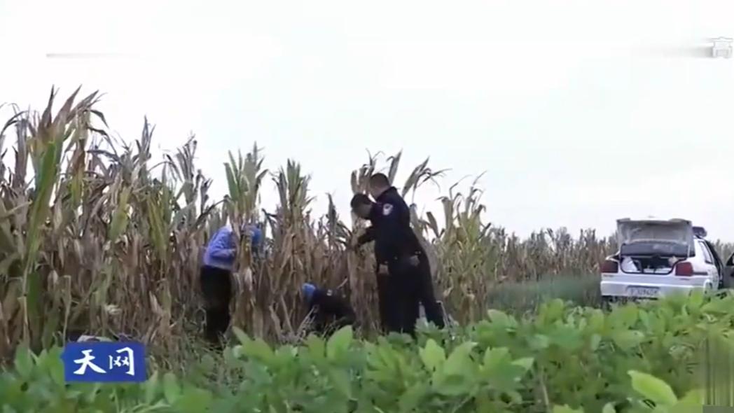 男邻居觊觎留守人妻，光天化日在玉米地图谋不轨！