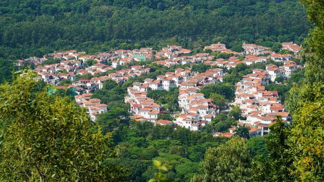 任达华|任达华为什么惹不起？全球30多套豪宅，这实力黑白通吃