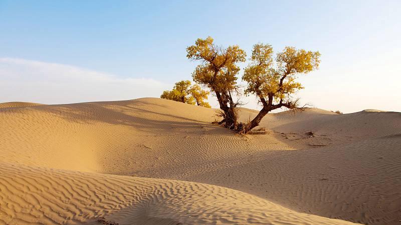 美国|世界十大沙漠，第一名相当于整个美国本土面积！