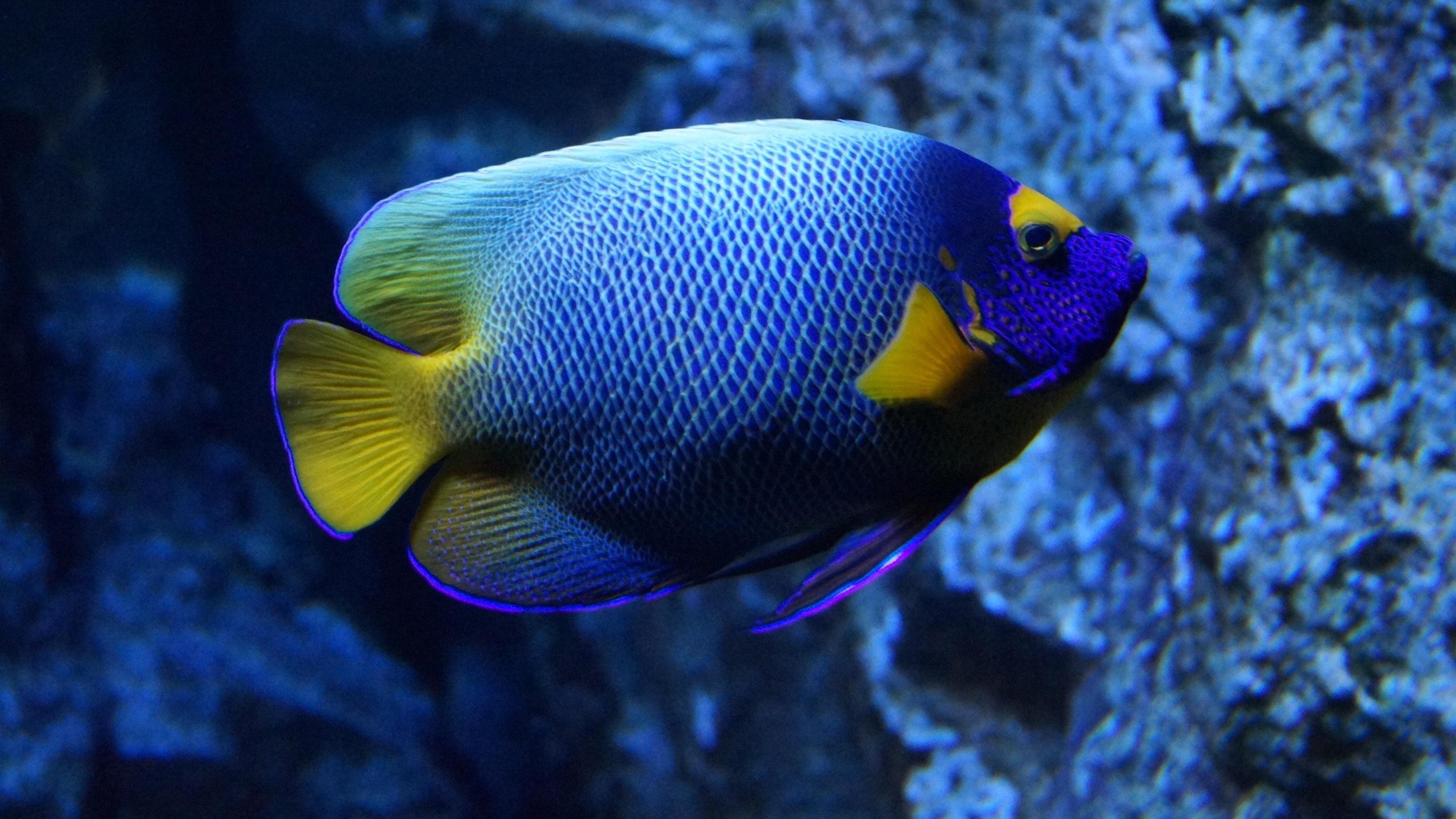 |身在职场，如何区分领导是在培养你还是压榨你？